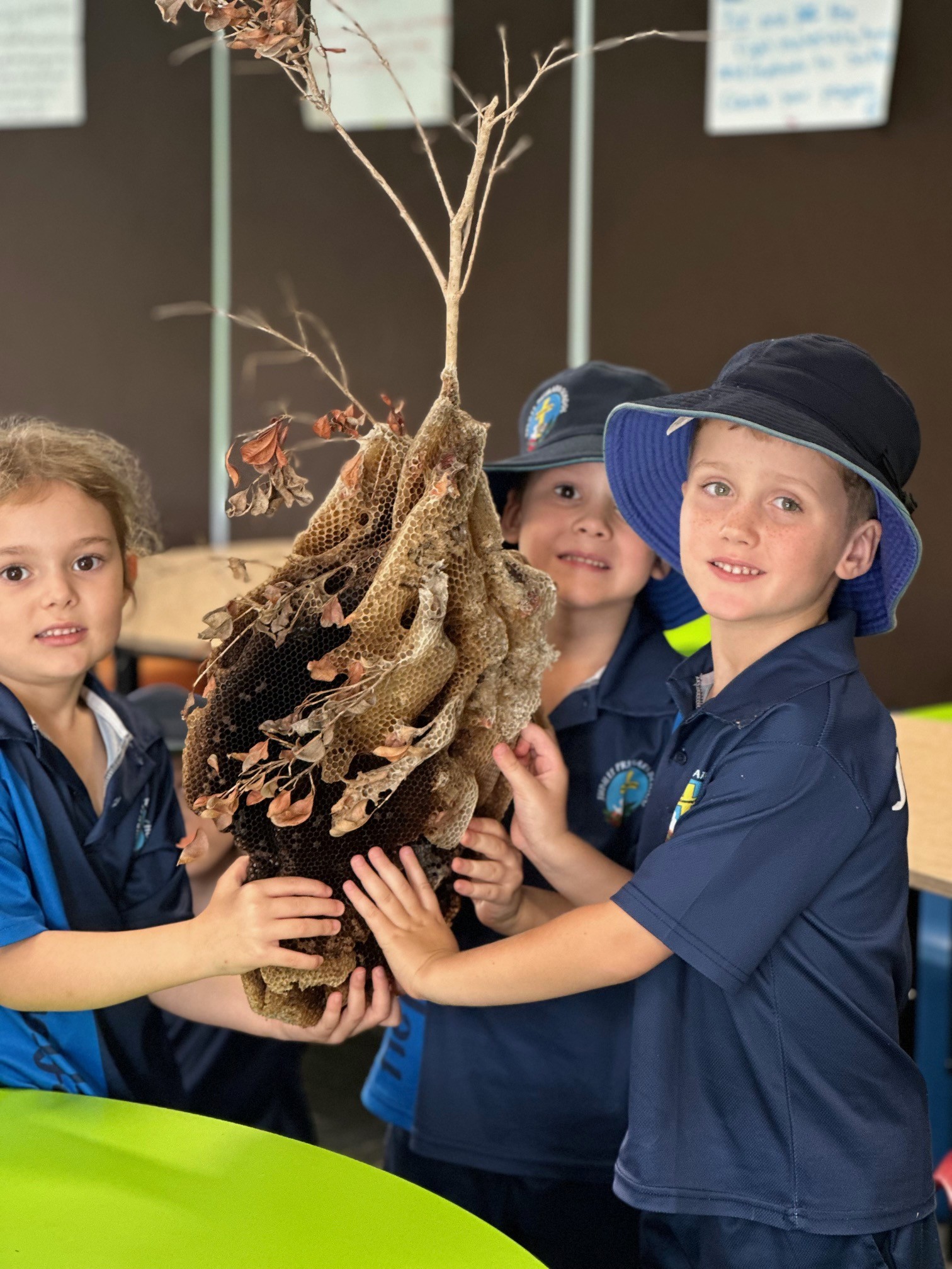 students surrounding a bee hive